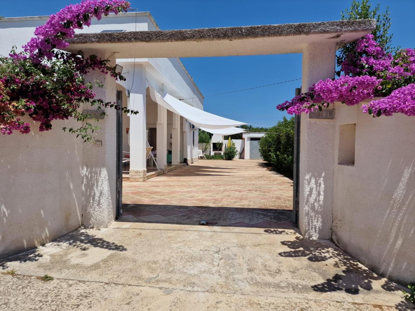 Villa Carmela A سان بيترو في بيفانا المظهر الخارجي الصورة