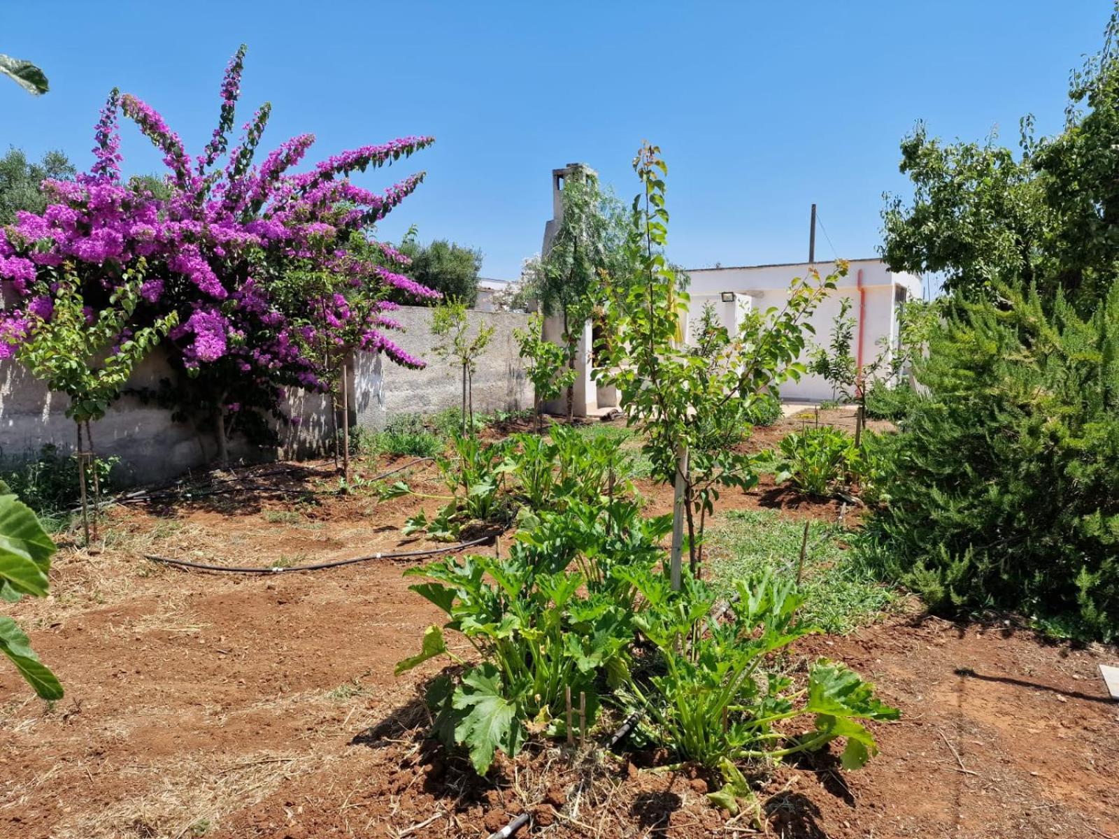 Villa Carmela A سان بيترو في بيفانا المظهر الخارجي الصورة